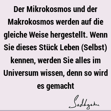 Der Mikrokosmos und der Makrokosmos werden auf die gleiche Weise hergestellt. Wenn Sie dieses Stück Leben (Selbst) kennen, werden Sie alles im Universum wissen,