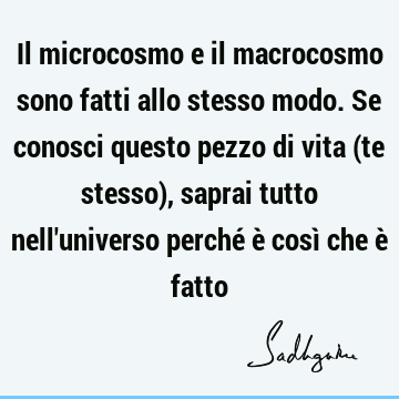 Il microcosmo e il macrocosmo sono fatti allo stesso modo. Se conosci questo pezzo di vita (te stesso), saprai tutto nell