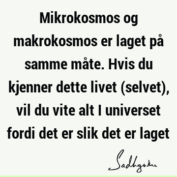 Mikrokosmos og makrokosmos er laget på samme måte. Hvis du kjenner dette livet (selvet), vil du vite alt i universet fordi det er slik det er