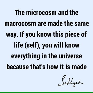The microcosm and the macrocosm are made the same way. If you know this piece of life (self), you will know everything in the universe because that