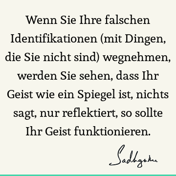 Wenn Sie Ihre falschen Identifikationen (mit Dingen, die Sie nicht sind) wegnehmen, werden Sie sehen, dass Ihr Geist wie ein Spiegel ist, nichts sagt, nur