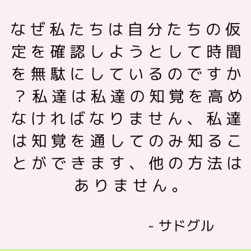 なぜ私たちは自分たちの仮定を確認しようとして時間を無駄にしているのですか？ 私達は私達の知覚を高めなければなりません、私達は知覚を通してのみ知ることができます、他の方法はありません。