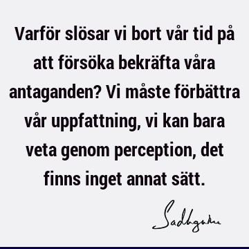 Varför slösar vi bort vår tid på att försöka bekräfta våra antaganden? Vi måste förbättra vår uppfattning, vi kan bara veta genom perception, det finns inget