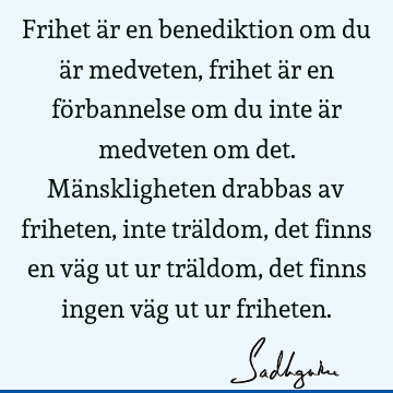 Frihet är en benediktion om du är medveten, frihet är en förbannelse om du inte är medveten om det. Mänskligheten drabbas av friheten, inte träldom, det finns