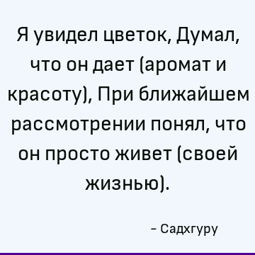 Я увидел цветок, Думал, что он дает (аромат и красоту), При ближайшем рассмотрении понял, что он просто живет (своей жизнью)