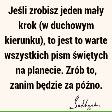 Jeśli zrobisz jeden mały krok (w duchowym kierunku), to jest to warte wszystkich pism świętych na planecie. Zrób to, zanim będzie za póź