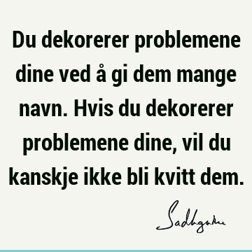 Du dekorerer problemene dine ved å gi dem mange navn. Hvis du dekorerer problemene dine, vil du kanskje ikke bli kvitt