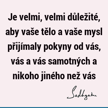 Je velmi, velmi důležité, aby vaše tělo a vaše mysl přijímaly pokyny od vás, vás a vás samotných a nikoho jiného než vá