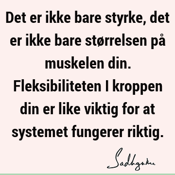 Det er ikke bare styrke, det er ikke bare størrelsen på muskelen din. Fleksibiliteten i kroppen din er like viktig for at systemet fungerer