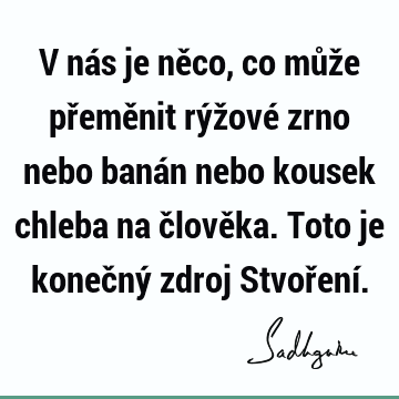 V nás je něco, co může přeměnit rýžové zrno nebo banán nebo kousek chleba na člověka. Toto je konečný zdroj Stvoření