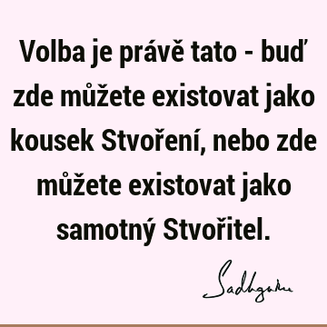 Volba je právě tato - buď zde můžete existovat jako kousek Stvoření, nebo zde můžete existovat jako samotný Stvoř