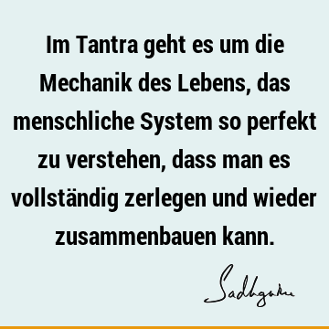 Im Tantra geht es um die Mechanik des Lebens, das menschliche System so perfekt zu verstehen, dass man es vollständig zerlegen und wieder zusammenbauen