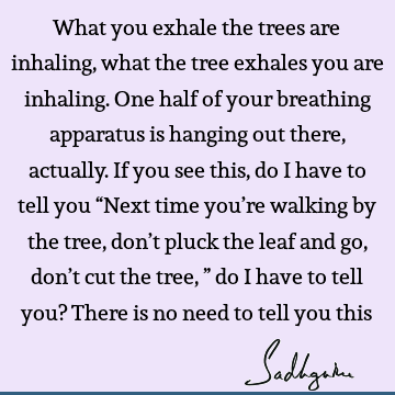 What you exhale the trees are inhaling, what the tree exhales you are inhaling. One half of your breathing apparatus is hanging out there, actually. If you see