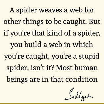 A spider weaves a web for other things to be caught. But if you