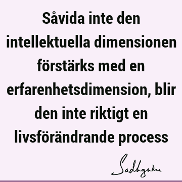 Såvida inte den intellektuella dimensionen förstärks med en erfarenhetsdimension, blir den inte riktigt en livsförändrande