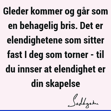 Gleder kommer og går som en behagelig bris. Det er elendighetene som sitter fast i deg som torner - til du innser at elendighet er din