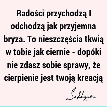 Radości przychodzą i odchodzą jak przyjemna bryza. To nieszczęścia tkwią w tobie jak ciernie - dopóki nie zdasz sobie sprawy, że cierpienie jest twoją kreacją