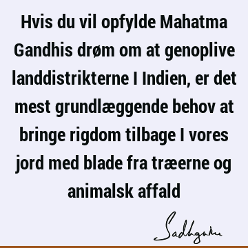 Hvis du vil opfylde Mahatma Gandhis drøm om at genoplive landdistrikterne i Indien, er det mest grundlæggende behov at bringe rigdom tilbage i vores jord med