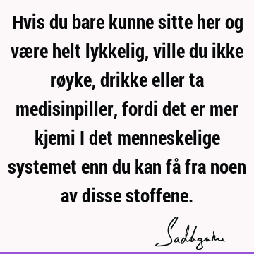 Hvis du bare kunne sitte her og være helt lykkelig, ville du ikke røyke, drikke eller ta medisinpiller, fordi det er mer kjemi i det menneskelige systemet enn