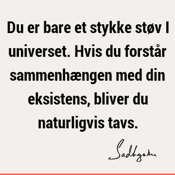 Du er bare et stykke støv i universet. Hvis du forstår sammenhængen med din eksistens, bliver du naturligvis