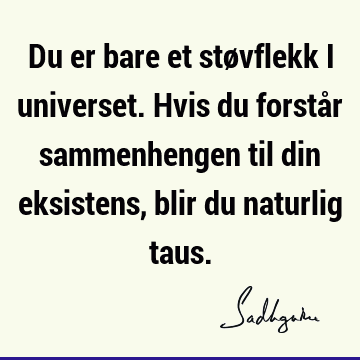 Du er bare et støvflekk i universet. Hvis du forstår sammenhengen til din eksistens, blir du naturlig