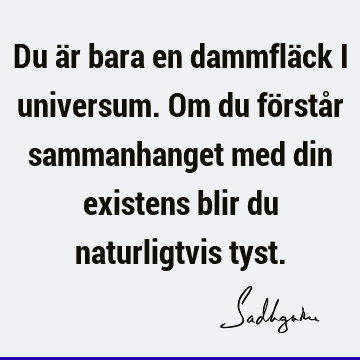 Du är bara en dammfläck i universum. Om du förstår sammanhanget med din existens blir du naturligtvis