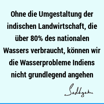 Ohne die Umgestaltung der indischen Landwirtschaft, die über 80% des nationalen Wassers verbraucht, können wir die Wasserprobleme Indiens nicht grundlegend