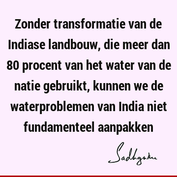 Zonder transformatie van de Indiase landbouw, die meer dan 80 procent van het water van de natie gebruikt, kunnen we de waterproblemen van India niet