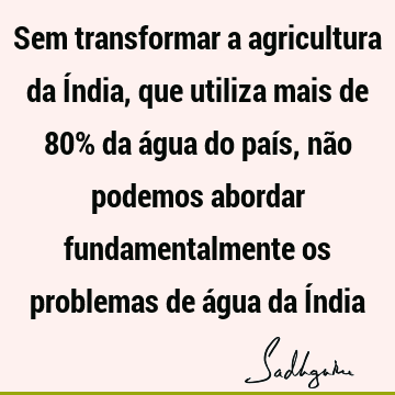 Sem transformar a agricultura da Índia, que utiliza mais de 80% da água do país, não podemos abordar fundamentalmente os problemas de água da Í
