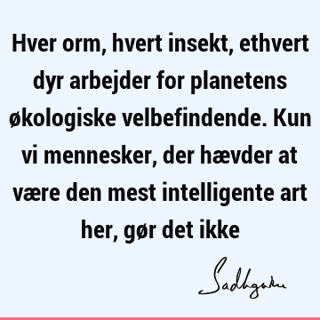 Hver orm, hvert insekt, ethvert dyr arbejder for planetens økologiske velbefindende. Kun vi mennesker, der hævder at være den mest intelligente art her, gør