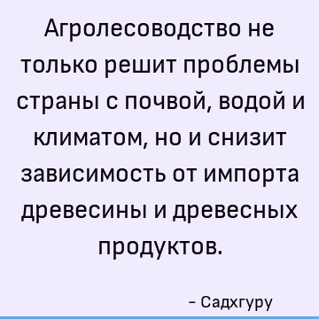 Агролесоводство не только решит проблемы страны с почвой, водой и климатом, но и снизит зависимость от импорта древесины и древесных продуктов