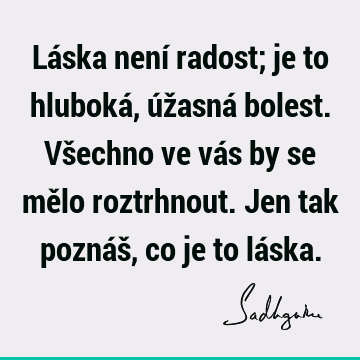 Láska není radost; je to hluboká, úžasná bolest. Všechno ve vás by se mělo roztrhnout. Jen tak poznáš, co je to lá