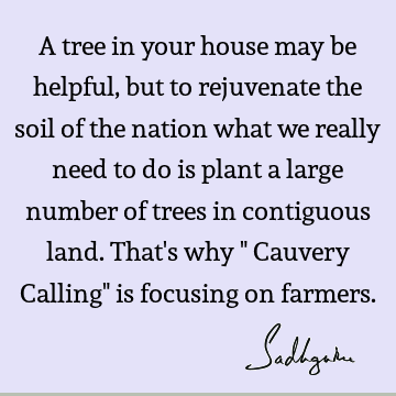 A tree in your house may be helpful, but to rejuvenate the soil of the nation what we really need to do is plant a large number of trees in contiguous land. T