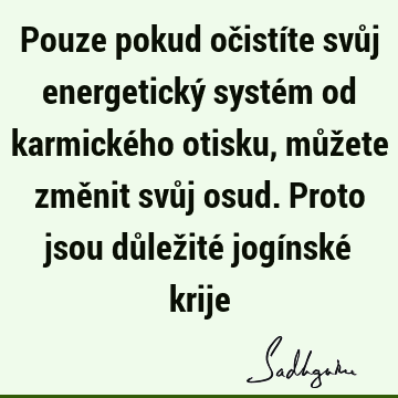 Pouze pokud očistíte svůj energetický systém od karmického otisku, můžete změnit svůj osud. Proto jsou důležité jogínské