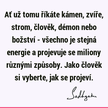 Ať už tomu říkáte kámen, zvíře, strom, člověk, démon nebo božství - všechno je stejná energie a projevuje se miliony různými způsoby. Jako člověk si vyberte,