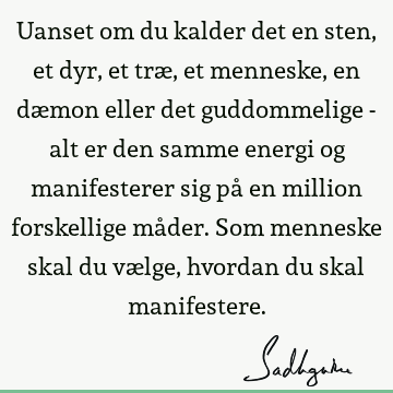 Uanset om du kalder det en sten, et dyr, et træ, et menneske, en dæmon eller det guddommelige - alt er den samme energi og manifesterer sig på en million