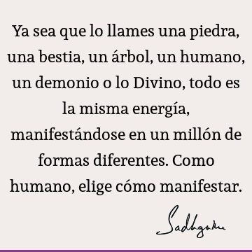 Ya sea que lo llames una piedra, una bestia, un árbol, un humano, un demonio o lo Divino, todo es la misma energía, manifestándose en un millón de formas