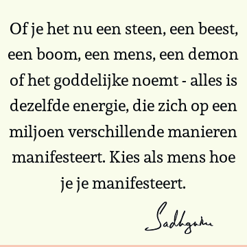 Of je het nu een steen, een beest, een boom, een mens, een demon of het goddelijke noemt - alles is dezelfde energie, die zich op een miljoen verschillende