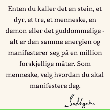 Enten du kaller det en stein, et dyr, et tre, et menneske, en demon eller det guddommelige - alt er den samme energien og manifesterer seg på en million