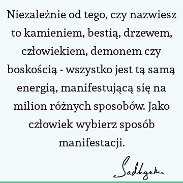 Niezależnie od tego, czy nazwiesz to kamieniem, bestią, drzewem, człowiekiem, demonem czy boskością - wszystko jest tą samą energią, manifestującą się na