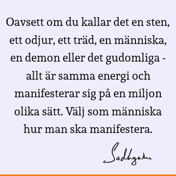 Oavsett om du kallar det en sten, ett odjur, ett träd, en människa, en demon eller det gudomliga - allt är samma energi och manifesterar sig på en miljon olika