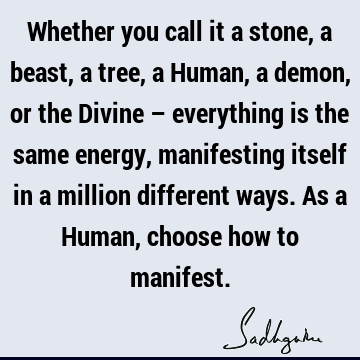 Whether you call it a stone, a beast, a tree, a Human, a demon, or the Divine – everything is the same energy, manifesting itself in a million different ways. A