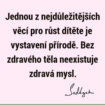 Jednou z nejdůležitějších věcí pro růst dítěte je vystavení přírodě. Bez zdravého těla neexistuje zdravá