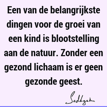 Een van de belangrijkste dingen voor de groei van een kind is blootstelling aan de natuur. Zonder een gezond lichaam is er geen gezonde