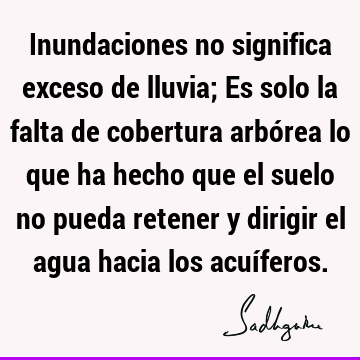 Inundaciones no significa exceso de lluvia; Es solo la falta de cobertura arbórea lo que ha hecho que el suelo no pueda retener y dirigir el agua hacia los acuí
