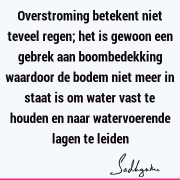 Overstroming betekent niet teveel regen; het is gewoon een gebrek aan boombedekking waardoor de bodem niet meer in staat is om water vast te houden en naar