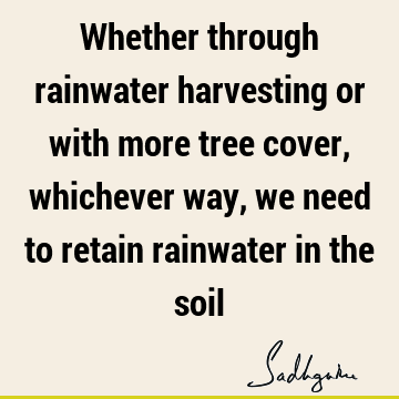Whether through rainwater harvesting or with more tree cover, whichever way, we need to retain rainwater in the