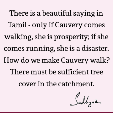 There is a beautiful saying in Tamil - only if Cauvery comes walking, she is prosperity; if she comes running, she is a disaster. How do we make Cauvery walk? T