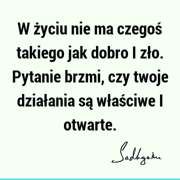 W życiu nie ma czegoś takiego jak dobro i zło. Pytanie brzmi, czy twoje działania są właściwe i