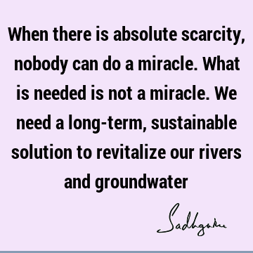 When there is absolute scarcity, nobody can do a miracle. What is needed is not a miracle. We need a long-term, sustainable solution to revitalize our rivers